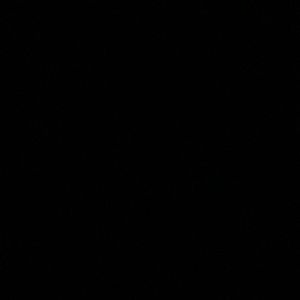 Meet your Posher, Eileen